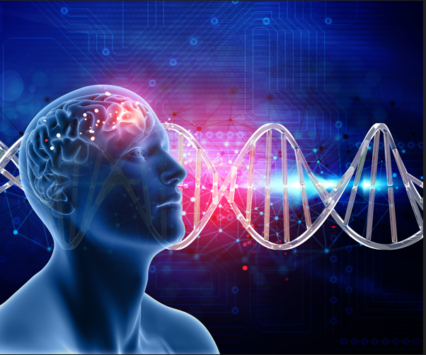 Mude Seus Pensamentos, Mude Seu Cérebro: O Poder da Neuroplasticidade no Dia a Dia
